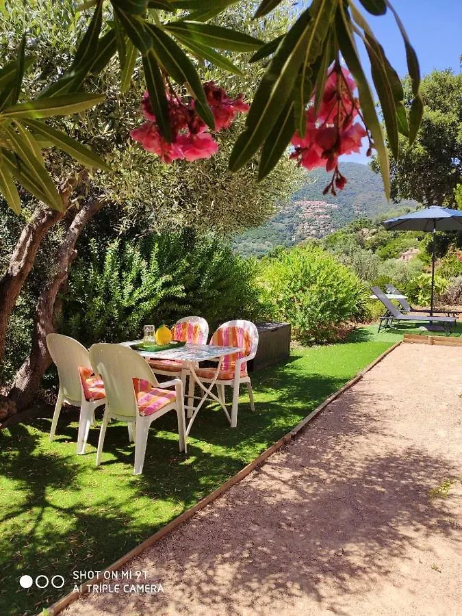 Appartement Charmant Proche Plage De Cavalaire Sur Mer 40 M² Apartment Cavalaire-sur-Mer