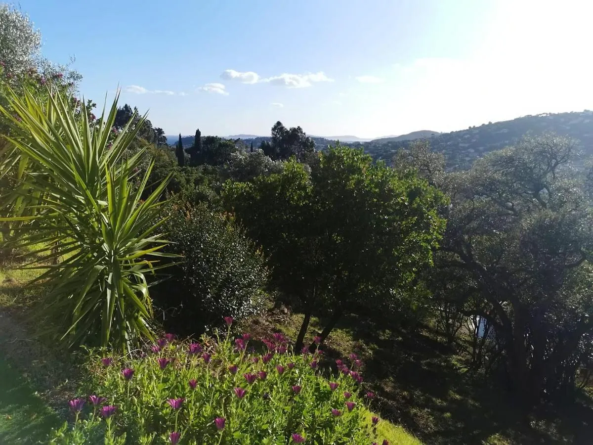 Apartment Appartement Charmant Proche Plage De Cavalaire Sur Mer 40 M²